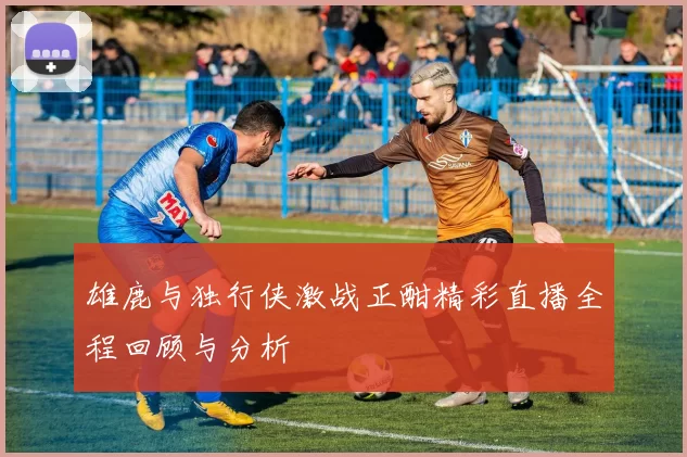 雄鹿与独行侠激战正酣精彩直播全程回顾与分析