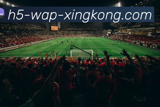 xingkong发展历程