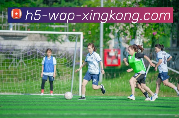 申方剑欧洲杯精彩回顾与分析揭示赛事背后的故事与精彩瞬间